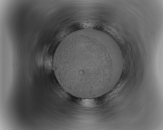 X0000094080240200710191427