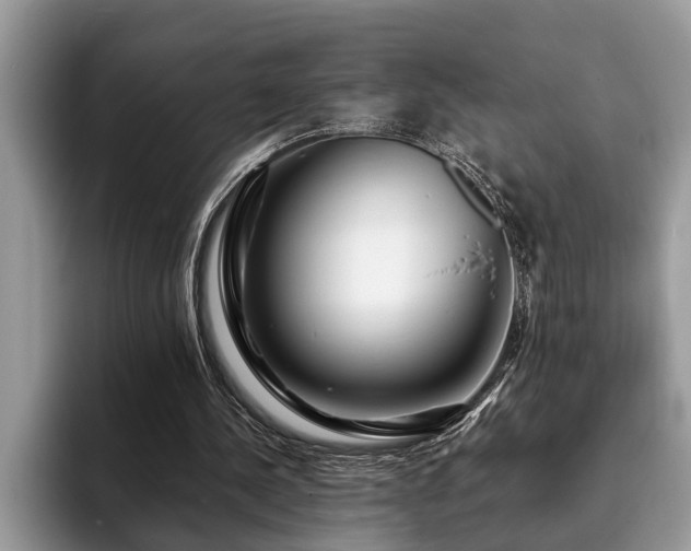 X0000094080244200710191426