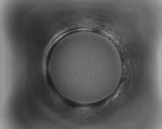 X0000094080247200710191427