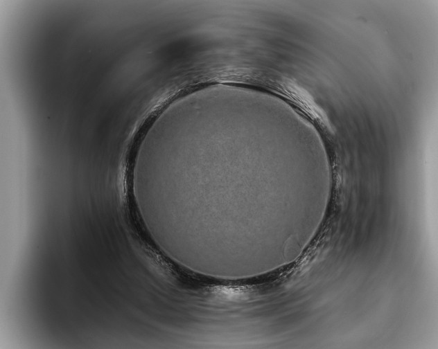 X0000094080250200710191427