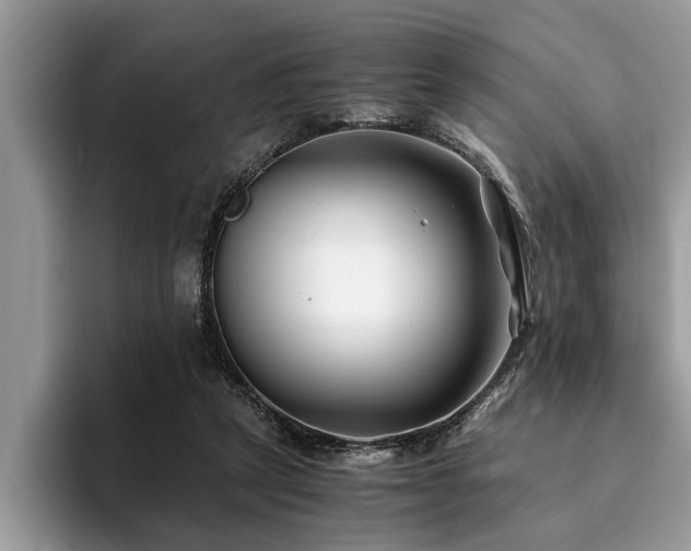 X0000094080257200710191427