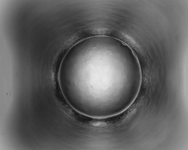 X0000094080258200710191427