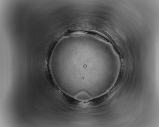 X0000094080269200710191427