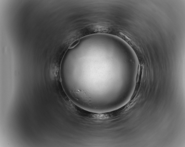 X0000094080281200710191427