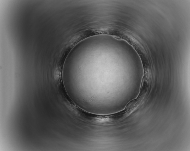 X0000094080284200710191427