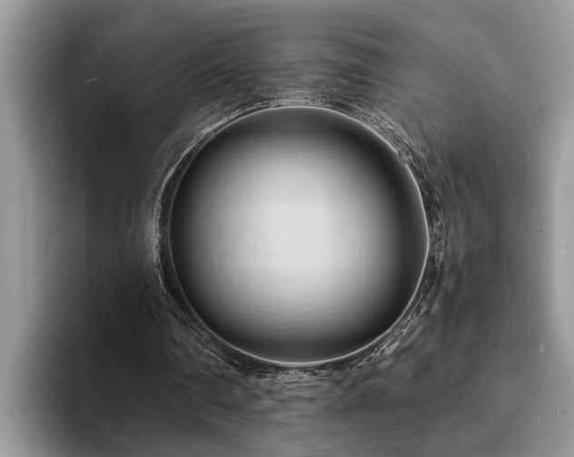 X0000094080290200710191426