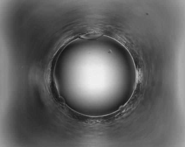 X0000094080291200710191426