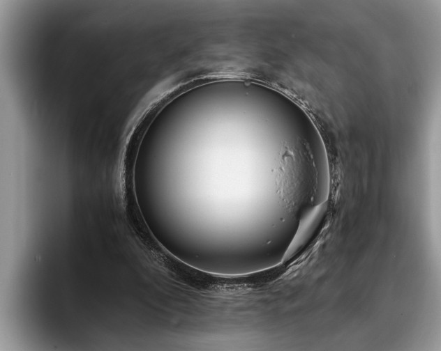 X0000094080296200710191426