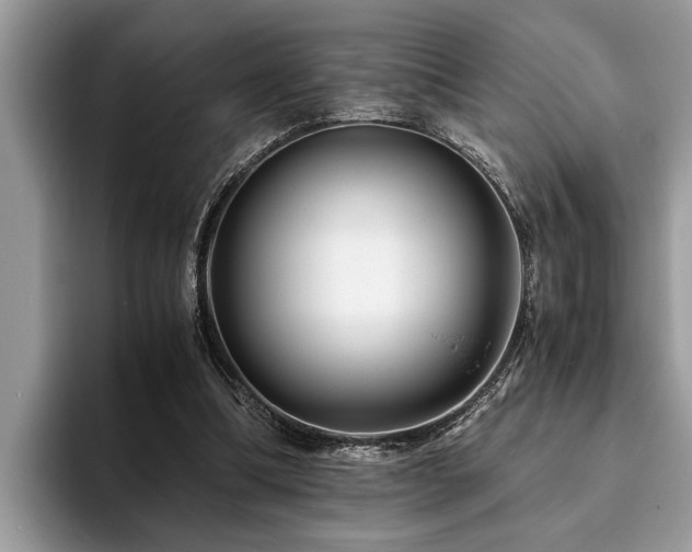 X0000094080298200710191426