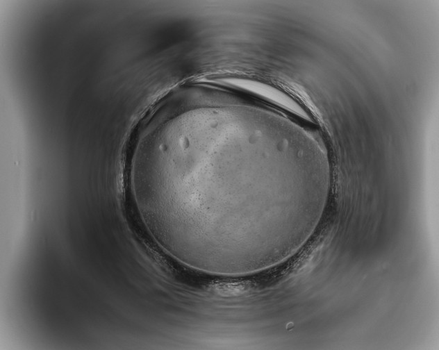 X0000094080299200710191426