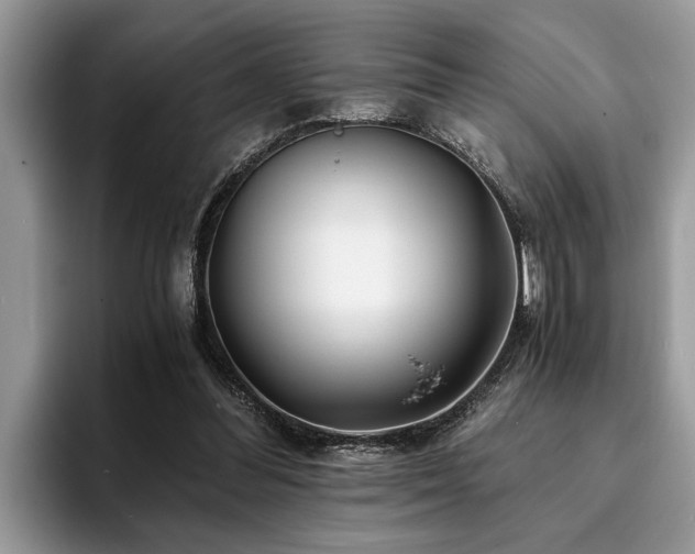 X0000094080300200710191426