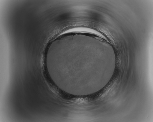 X0000094080303200710191426