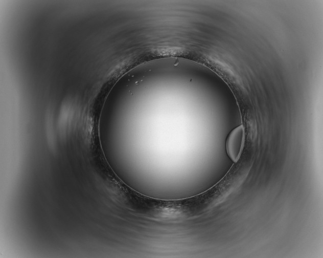 X0000094080308200710191426