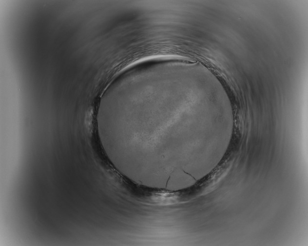 X0000094080319200710191426