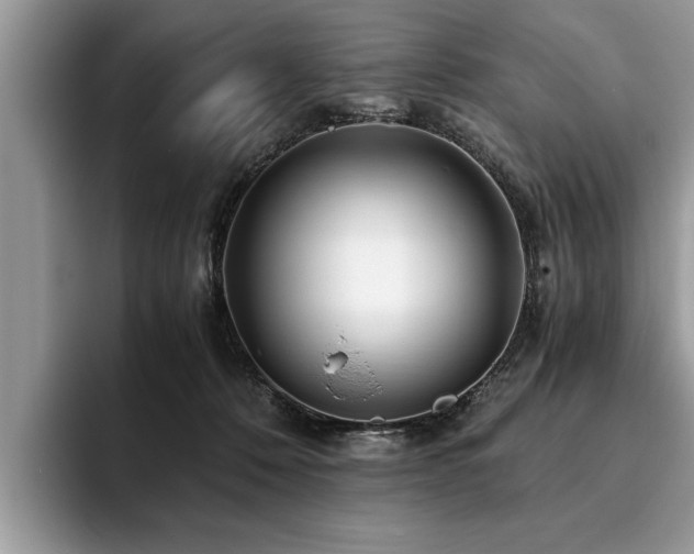 X0000094080320200710191426