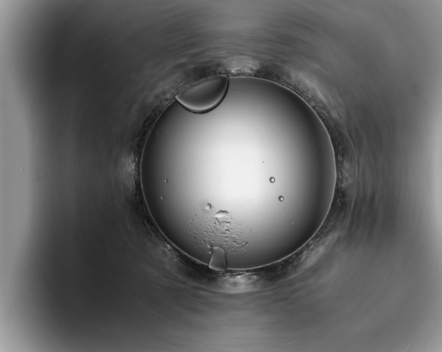 X0000094080321200710191426