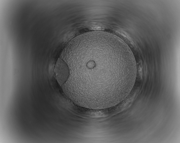 X0000094080322200710191426