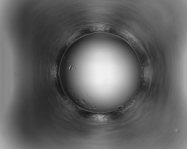 X0000094080326200710191426