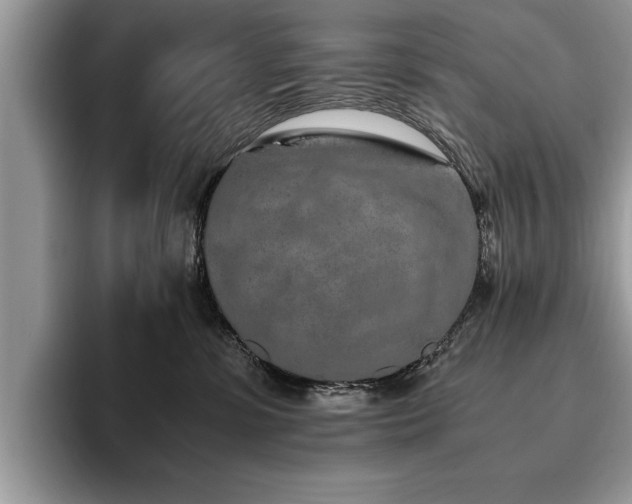 X0000094080331200710191426