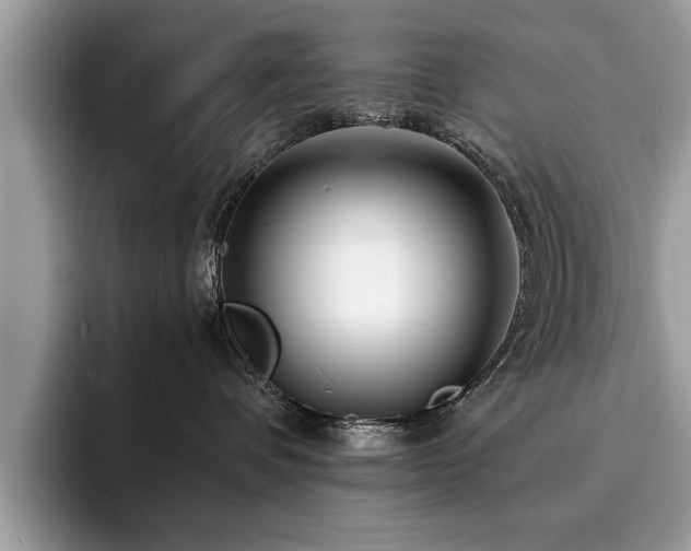 X0000094080336200710191426