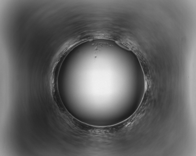 X0000094080339200710191425