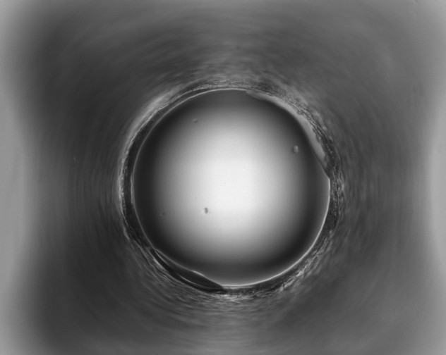 X0000094080340200710191425