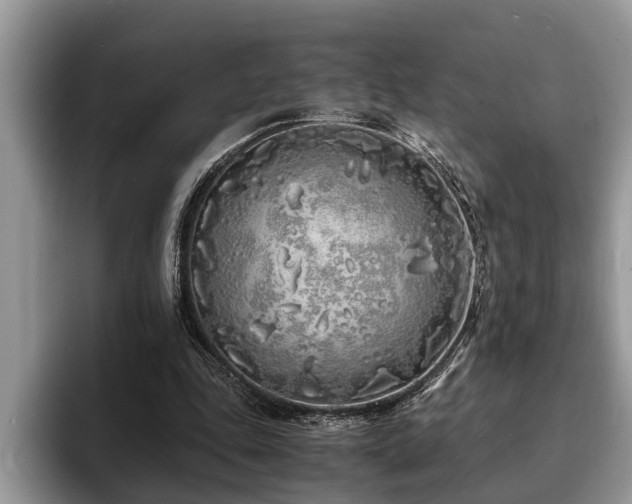 X0000094080343200710191425