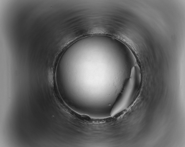 X0000094080345200710191425