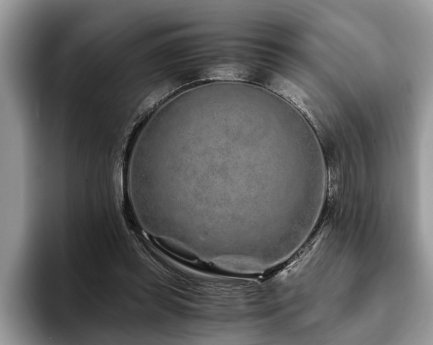 X0000094080349200710191425