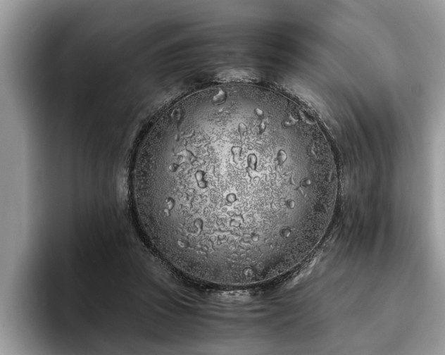 X0000094080353200710191426