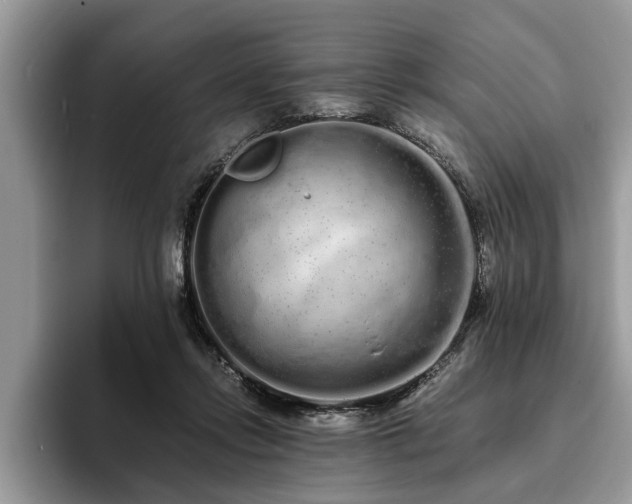 X0000094080358200710191426