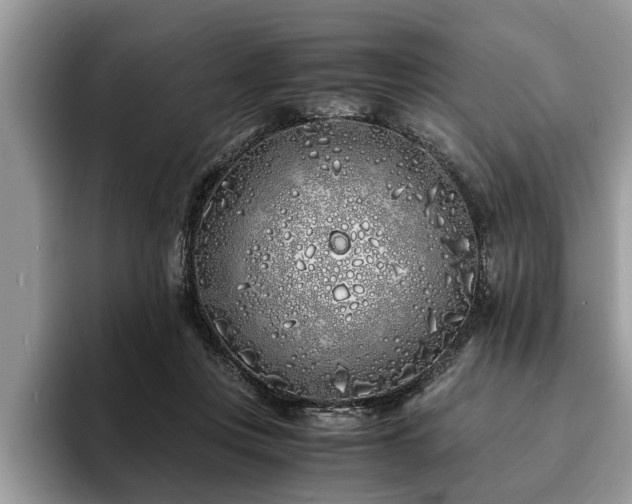 X0000094080359200710191426