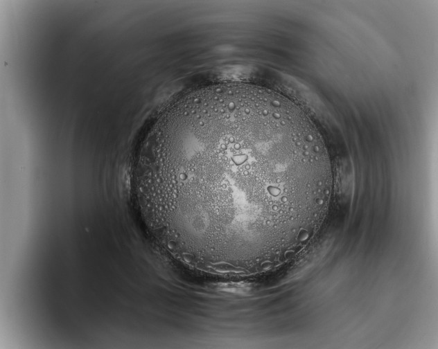 X0000094080363200710191426