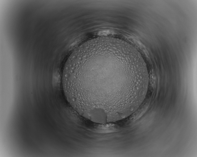 X0000094080375200710191426