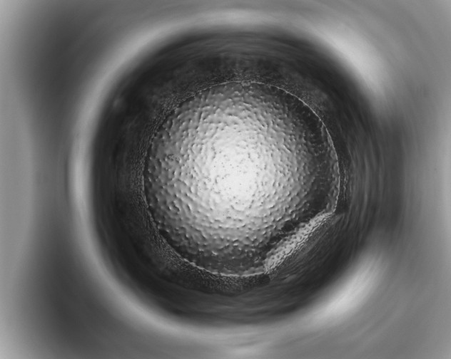 X0000094080383200710191426