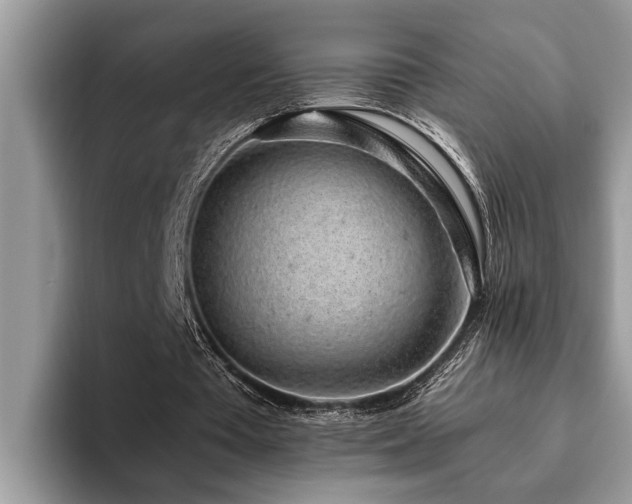 X0000094080385200710191425