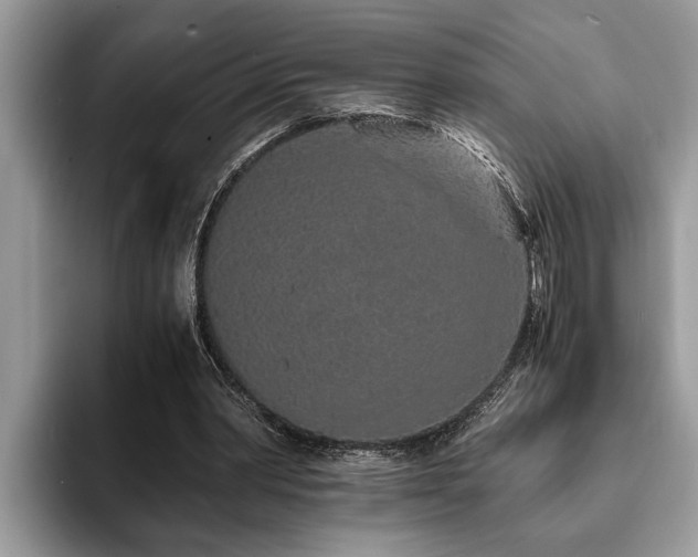 X0000094080390200710191425