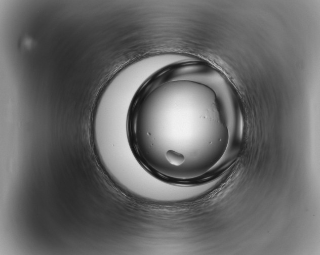 X0000094080393200710191425