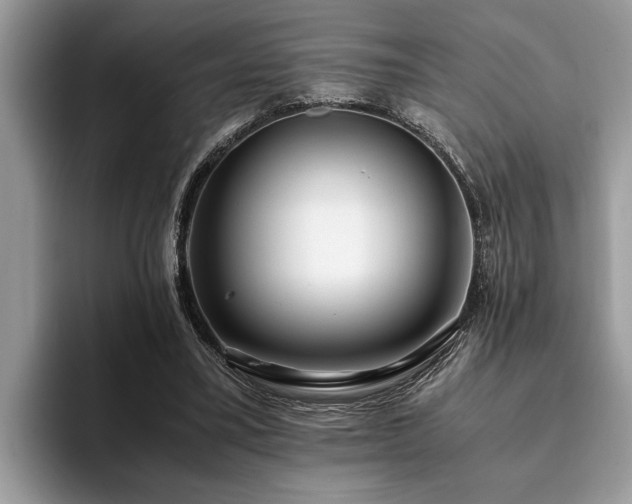 X0000094080395200710191425