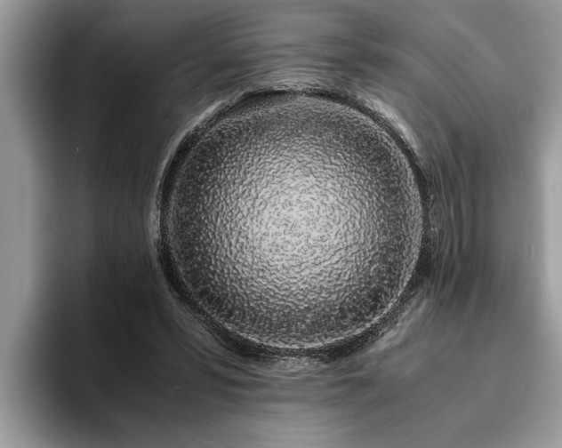 X0000094080399200710191425