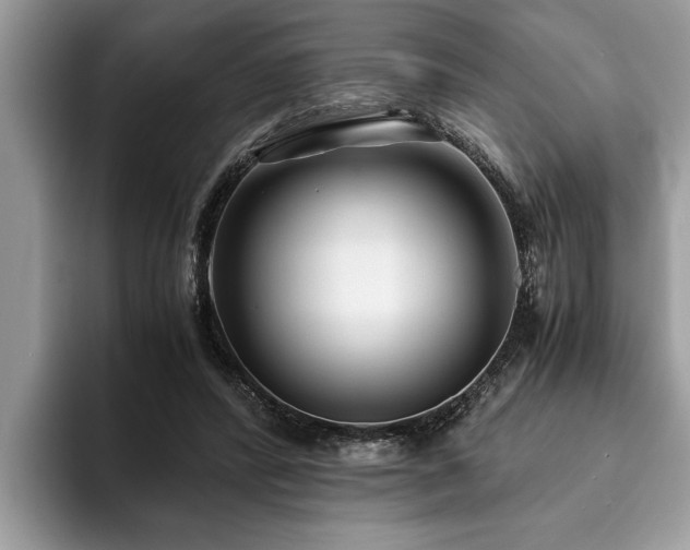 X0000094080400200710191425