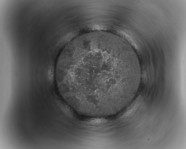 X0000094080402200710191425