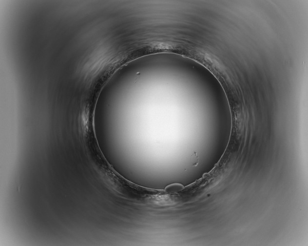 X0000094080406200710191425