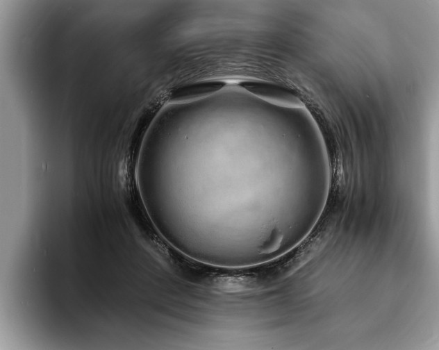 X0000094080408200710191425