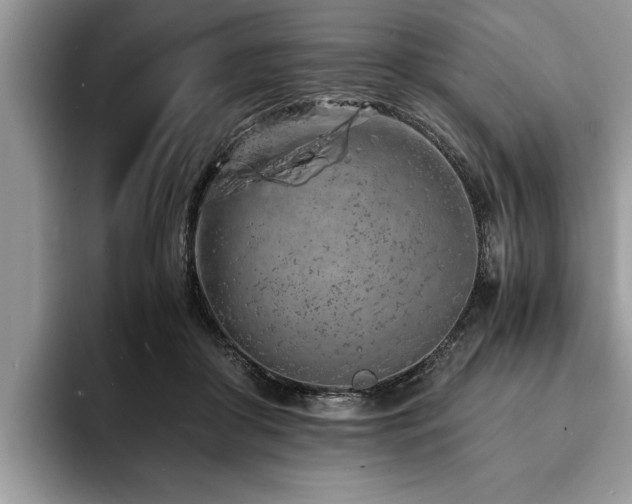 X0000094080410200710191425