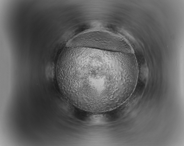 X0000094080413200710191425