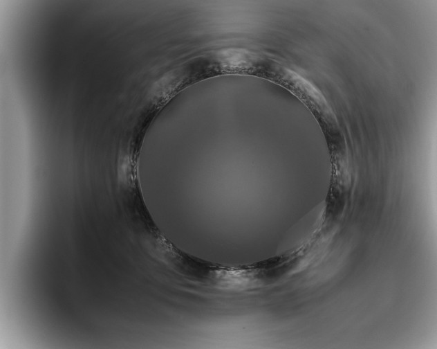 X0000094080419200710191425