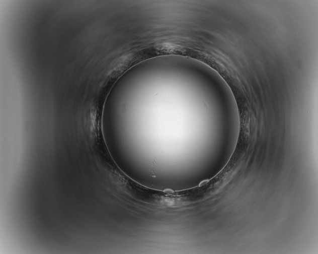 X0000094080420200710191425