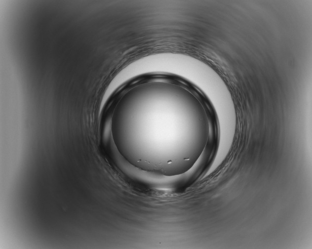 X0000094080421200710191425