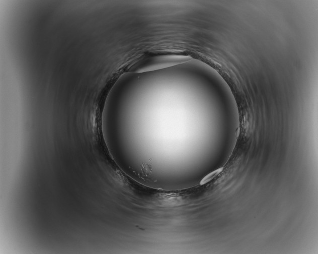 X0000094080424200710191425